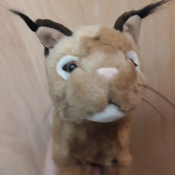 Bobcat Wildcat Realistic Plush Toy - Picture 8 of 8